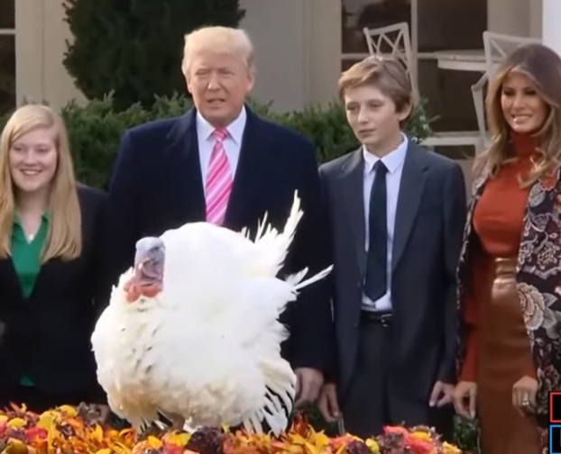 图片来源:视频截图